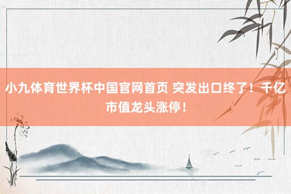 小九体育世界杯中国官网首页 突发出口终了!千亿市值龙头涨停!