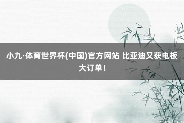 小九·体育世界杯(中国)官方网站 比亚迪又获电板大订单!