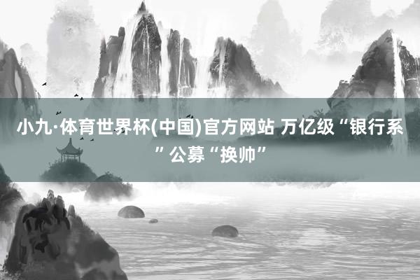 小九·体育世界杯(中国)官方网站 万亿级“银行系”公募“换帅”