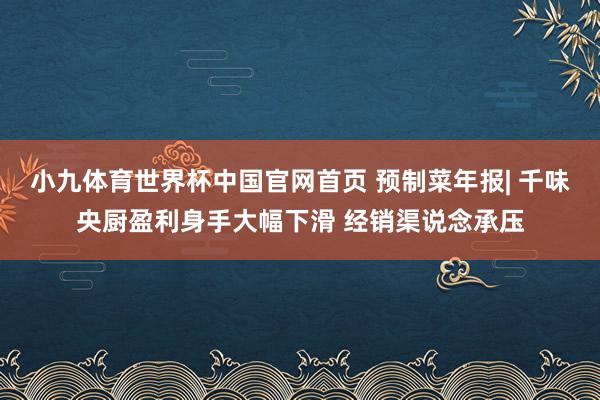 小九体育世界杯中国官网首页 预制菜年报| 千味央厨盈利身手大幅下滑 经销渠说念承压