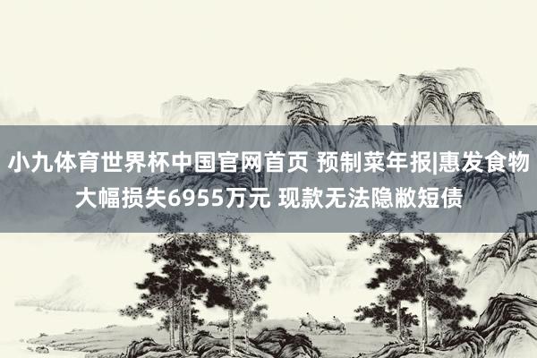 小九体育世界杯中国官网首页 预制菜年报|惠发食物大幅损失6955万元 现款无法隐敝短债