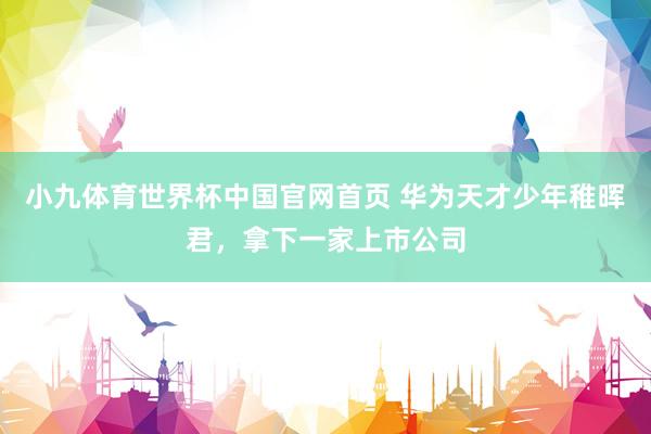 小九体育世界杯中国官网首页 华为天才少年稚晖君,拿下一家上市公司