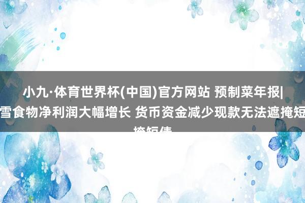 小九·体育世界杯(中国)官方网站 预制菜年报|春雪食物净利润大幅增长 货币资金减少现款无法遮掩短债