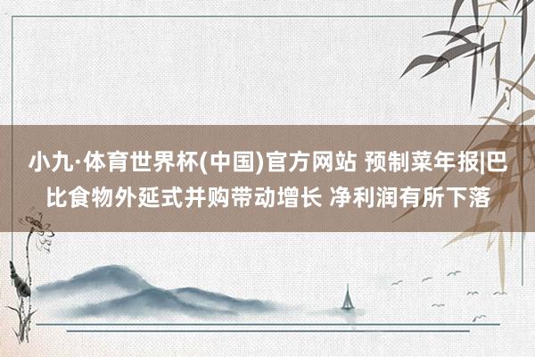 小九·体育世界杯(中国)官方网站 预制菜年报|巴比食物外延式并购带动增长 净利润有所下落