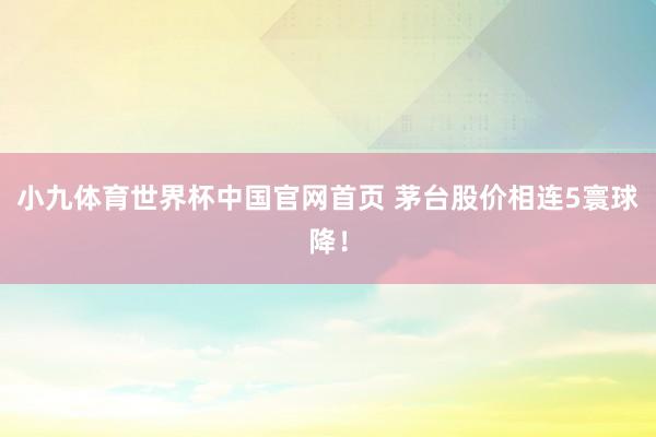 小九体育世界杯中国官网首页 茅台股价相连5寰球降!