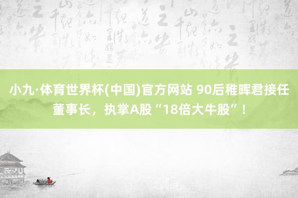 小九·体育世界杯(中国)官方网站 90后稚晖君接任董事长,执掌A股“18倍大牛股”!