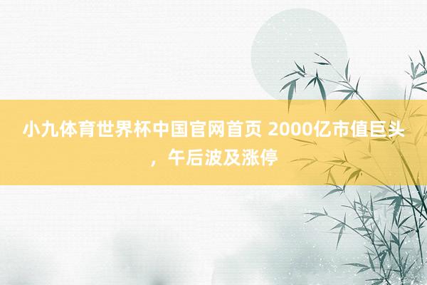 小九体育世界杯中国官网首页 2000亿市值巨头,午后波及涨停