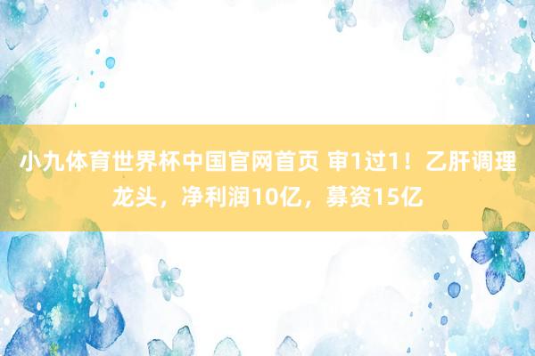 小九体育世界杯中国官网首页 审1过1!乙肝调理龙头,净利润10亿,募资15亿