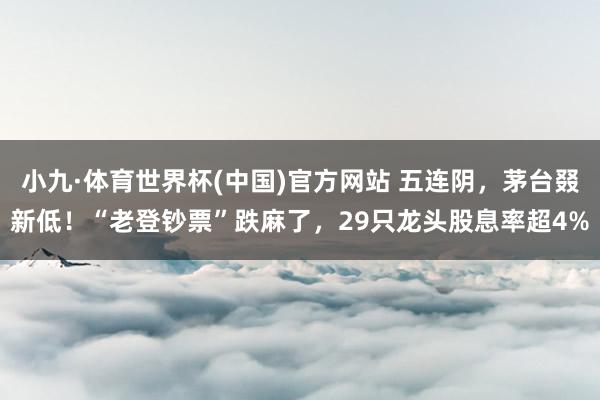 小九·体育世界杯(中国)官方网站 五连阴,茅台叕新低!“老登钞票”跌麻了,29只龙头股息率超4%