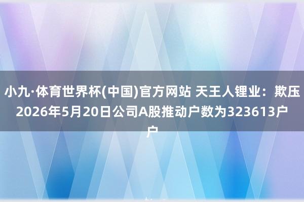 小九·体育世界杯(中国)官方网站 天王人锂业:欺压2026年5月20日公司A股推动户数为323613户