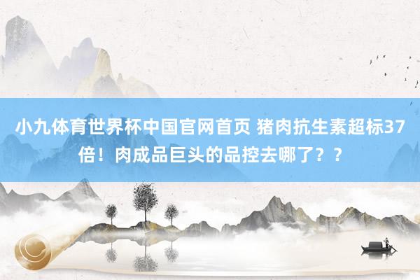 小九体育世界杯中国官网首页 猪肉抗生素超标37倍!肉成品巨头的品控去哪了??
