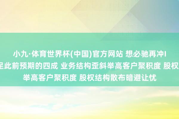 小九·体育世界杯(中国)官方网站 想必驰再冲IPO:实质收入不足此前预期的四成 业务结构歪斜举高客户聚积度 股权结构散布暗避让忧