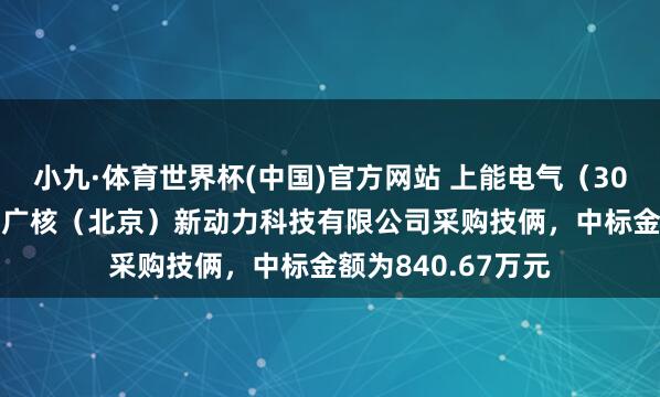 小九·体育世界杯(中国)官方网站 上能电气(300827):中标中广核(北京)新动力科技有限公司采购技俩,中标金额为840.67万元