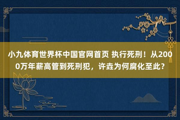 小九体育世界杯中国官网首页 执行死刑！从2000万年薪高管到死刑犯，许垚为何腐化至此？