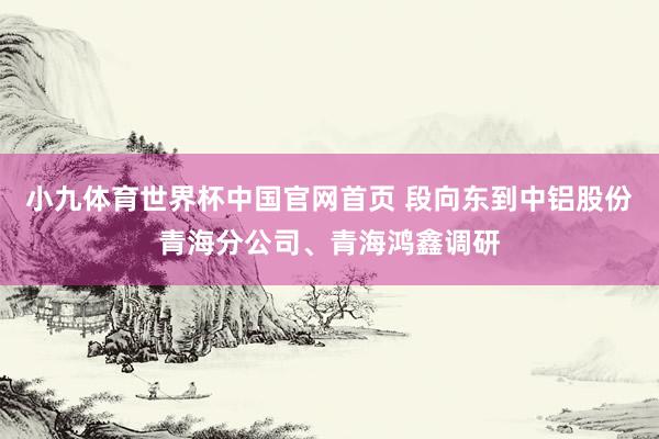 小九体育世界杯中国官网首页 段向东到中铝股份青海分公司、青海鸿鑫调研