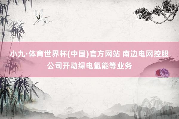 小九·体育世界杯(中国)官方网站 南边电网控股公司开动绿电氢能等业务