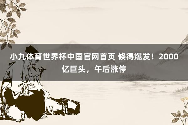 小九体育世界杯中国官网首页 倏得爆发!2000亿巨头,午后涨停