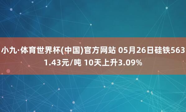 小九·体育世界杯(中国)官方网站 05月26日硅铁5631.43元/吨 10天上升3.09%