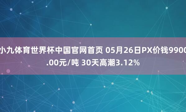小九体育世界杯中国官网首页 05月26日PX价钱9900.00元/吨 30天高潮3.12%