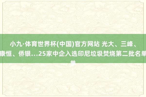 小九·体育世界杯(中国)官方网站 光大、三峰、康恒、侨银…25家中企入选印尼垃圾焚烧第二批名单
