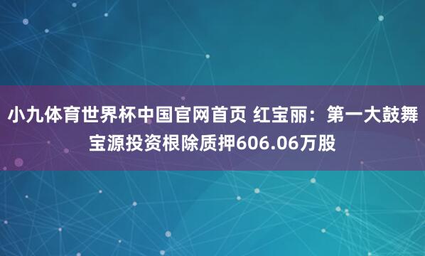 小九体育世界杯中国官网首页 红宝丽:第一大鼓舞宝源投资根除质押606.06万股