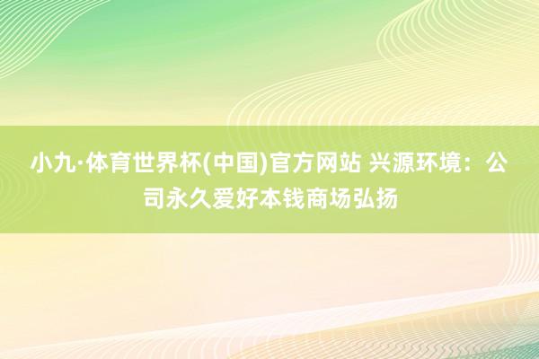 小九·体育世界杯(中国)官方网站 兴源环境:公司永久爱好本钱商场弘扬