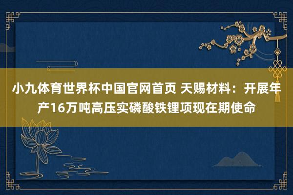 小九体育世界杯中国官网首页 天赐材料:开展年产16万吨高压实磷酸铁锂项现在期使命
