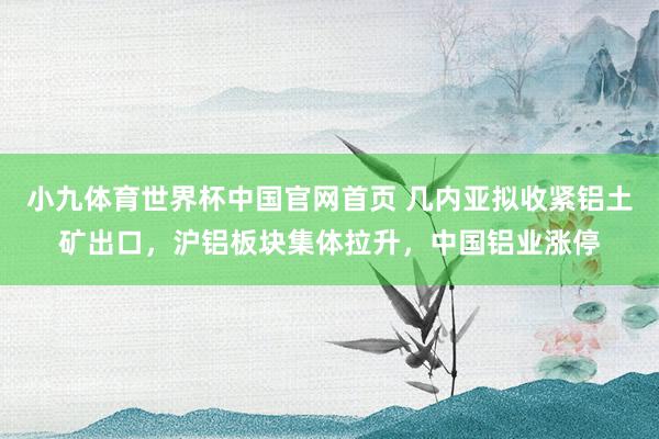 小九体育世界杯中国官网首页 几内亚拟收紧铝土矿出口,沪铝板块集体拉升,中国铝业涨停