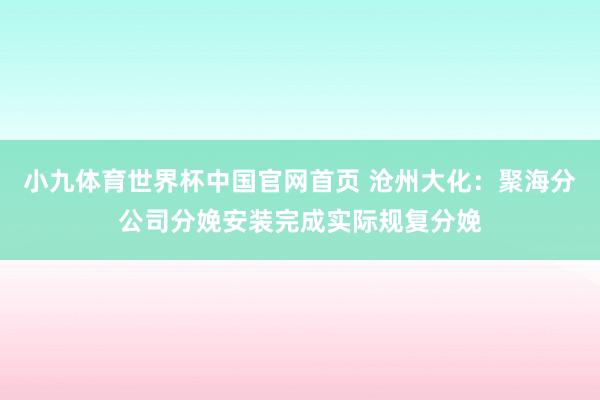 小九体育世界杯中国官网首页 沧州大化:聚海分公司分娩安装完成实际规复分娩