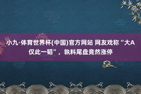 小九·体育世界杯(中国)官方网站 网友戏称“大A仅此一韬”,孰料尾盘竟然涨停