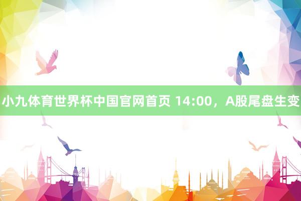 小九体育世界杯中国官网首页 14:00,A股尾盘生变