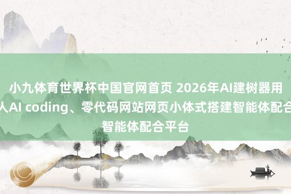 小九体育世界杯中国官网首页 2026年AI建树器用:生人AI coding、零代码网站网页小体式搭建智能体配合平台