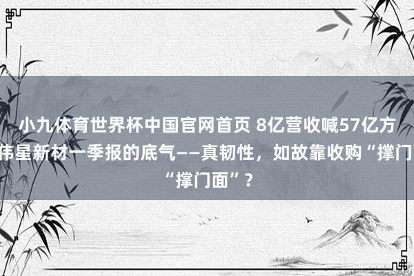 小九体育世界杯中国官网首页 8亿营收喊57亿方针,伟星新材一季报的底气——真韧性,如故靠收购“撑门面”?