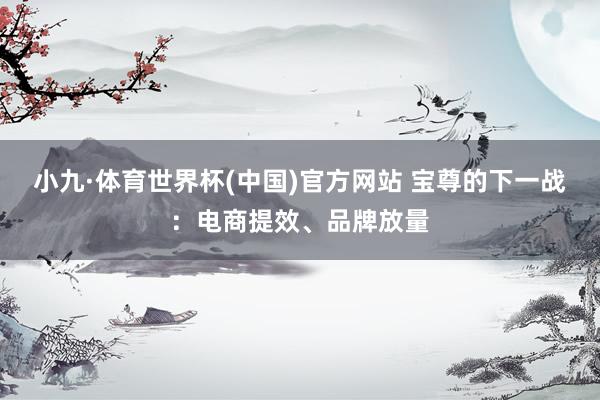 小九·体育世界杯(中国)官方网站 宝尊的下一战:电商提效、品牌放量