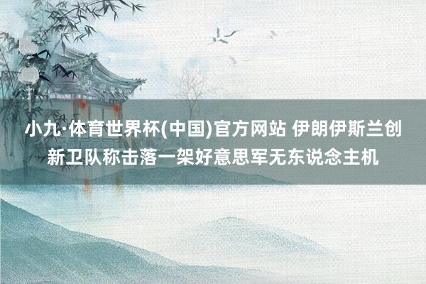 小九·体育世界杯(中国)官方网站 伊朗伊斯兰创新卫队称击落一架好意思军无东说念主机