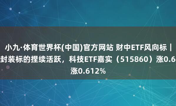 小九·体育世界杯(中国)官方网站 财中ETF风向标|先进封装标的捏续活跃,科技ETF嘉实(515860)涨0.612%