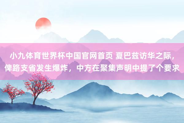 小九体育世界杯中国官网首页 夏巴兹访华之际,俾路支省发生爆炸,中方在聚集声明中提了个要求
