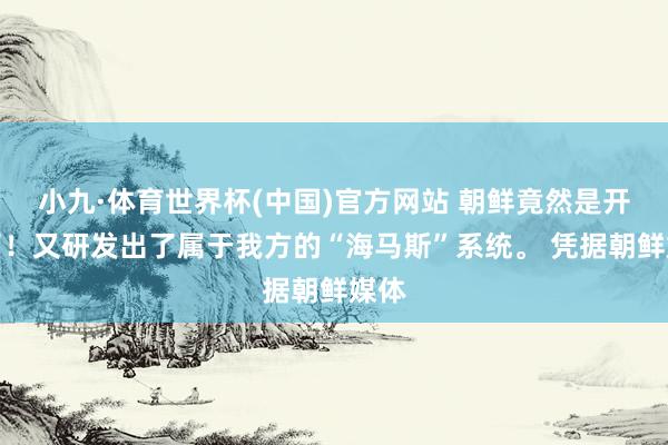 小九·体育世界杯(中国)官方网站 朝鲜竟然是开挂了!又研发出了属于我方的“海马斯”系统。 凭据朝鲜媒体