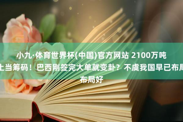 小九·体育世界杯(中国)官方网站 2100万吨稀土当筹码!巴西刚签完大单就变卦?不虞我国早已布局好