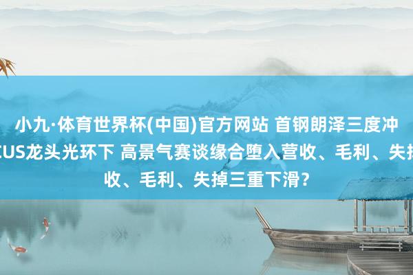 小九·体育世界杯(中国)官方网站 首钢朗泽三度冲刺港股:CCUS龙头光环下 高景气赛谈缘合堕入营收、毛利、失掉三重下滑?