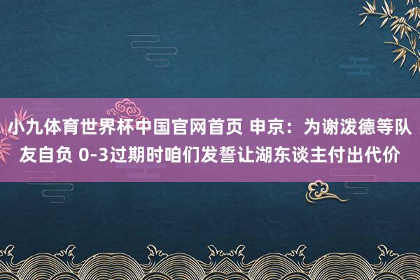 小九体育世界杯中国官网首页 申京：为谢泼德等队友自负 0-3过期时咱们发誓让湖东谈主付出代价