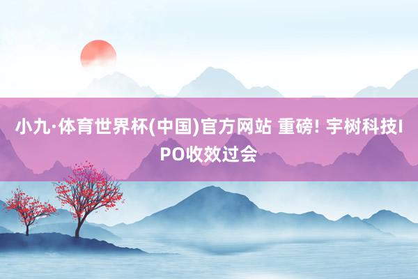 小九·体育世界杯(中国)官方网站 重磅! 宇树科技IPO收效过会