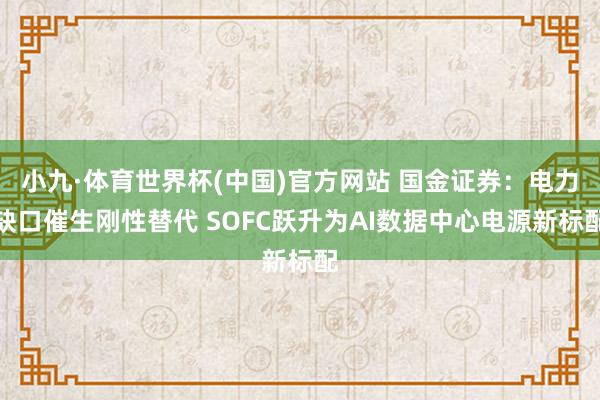 小九·体育世界杯(中国)官方网站 国金证券:电力缺口催生刚性替代 SOFC跃升为AI数据中心电源新标配