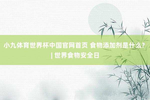 小九体育世界杯中国官网首页 食物添加剂是什么? | 世界食物安全日