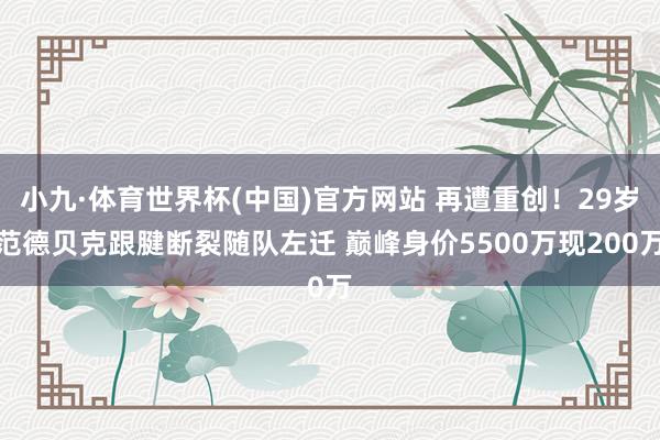 小九·体育世界杯(中国)官方网站 再遭重创!29岁范德贝克跟腱断裂随队左迁 巅峰身价5500万现200万