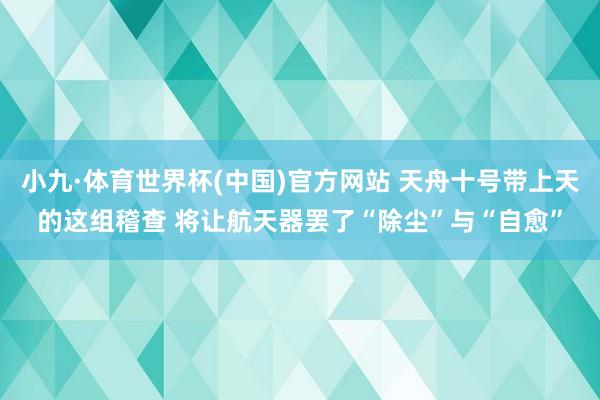 小九·体育世界杯(中国)官方网站 天舟十号带上天的这组稽查 将让航天器罢了“除尘”与“自愈”