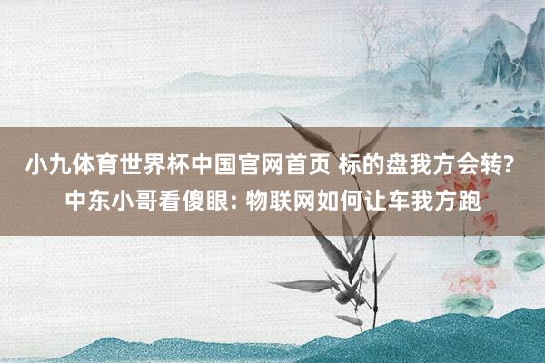 小九体育世界杯中国官网首页 标的盘我方会转? 中东小哥看傻眼: 物联网如何让车我方跑
