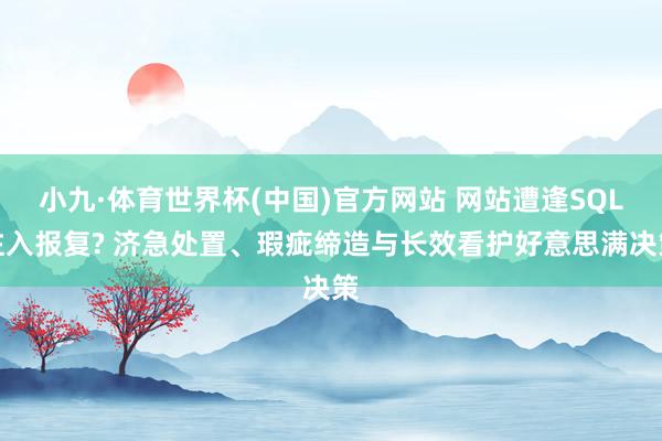 小九·体育世界杯(中国)官方网站 网站遭逢SQL注入报复? 济急处置、瑕疵缔造与长效看护好意思满决策