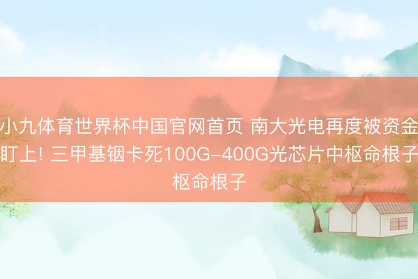 小九体育世界杯中国官网首页 南大光电再度被资金盯上! 三甲基铟卡死100G-400G光芯片中枢命根子