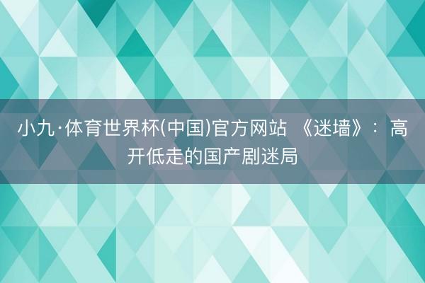 小九·体育世界杯(中国)官方网站 《迷墙》:高开低走的国产剧迷局